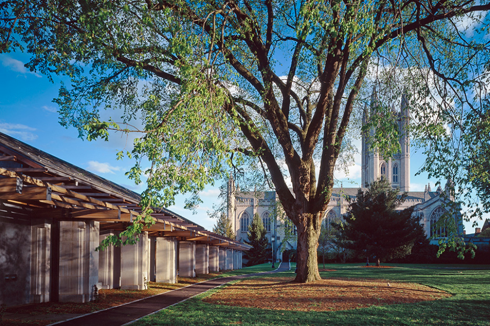 House Inspiraiton Image